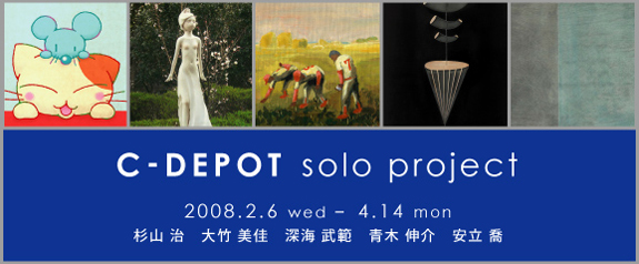 C-DEPOT solo project